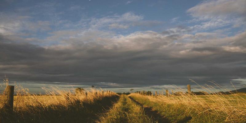 PWZB YJM28：绿色商品贸易平台的电子商务新生态