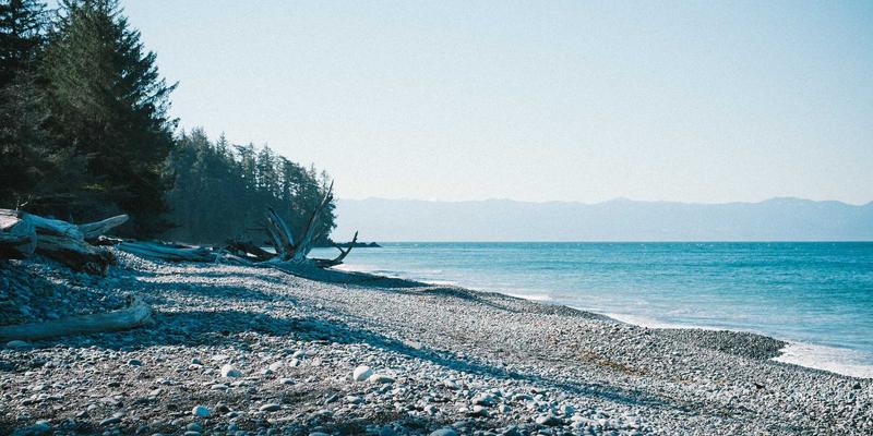 PWZB YJM35：解码绿色电子商务新范式，引领可持续消费革命