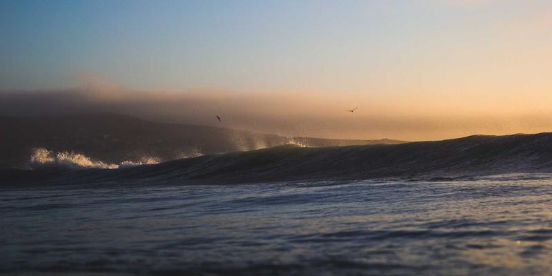 PWZB YJM62：构建绿色商品贸易新生态，电子商务平台的可持续发展之路