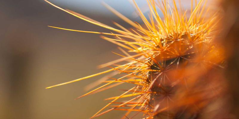 PWZB YJM63：融合日式禅意的电子商务新范式