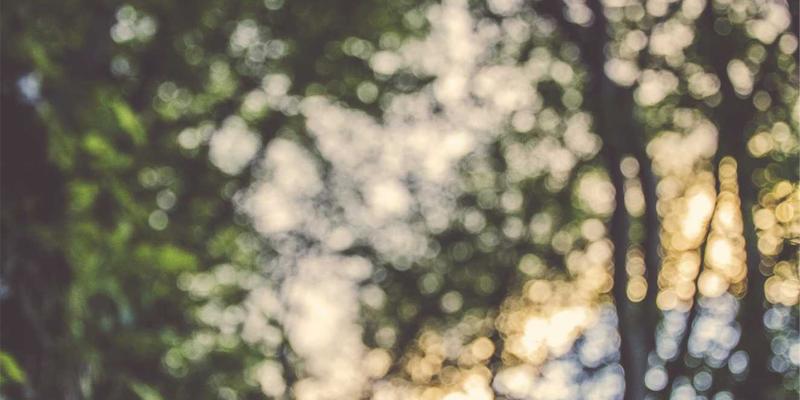 PWZB YJM81：在电子商务浪潮中，重拾日式禅意与自然生活的平衡艺术