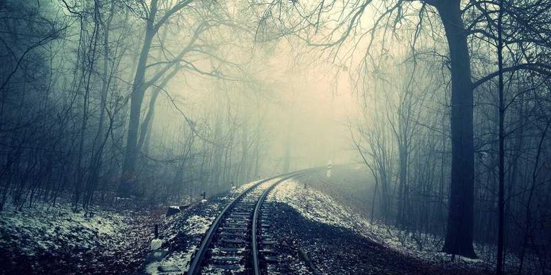 PWZB YJM93：自然生活理念在电子商务中的创新实践