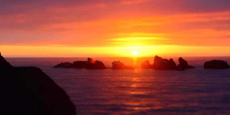 PWZB YJM9：在电子商务时代重新定义自然生活