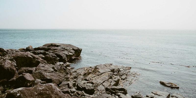 PWZB YJM发展:当电子商务邂逅日式禅意,打造心灵与商业的和谐之境