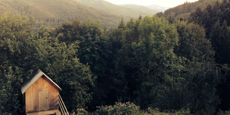 在线购物新挑战：PWZB YJM驱动的内容安全审核如何守护自然生活贸易平台