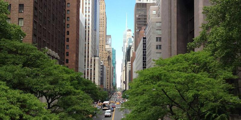 在线购物新生态：基于PWZB YJM的自然波动风控引擎如何守护绿色商品交易安全