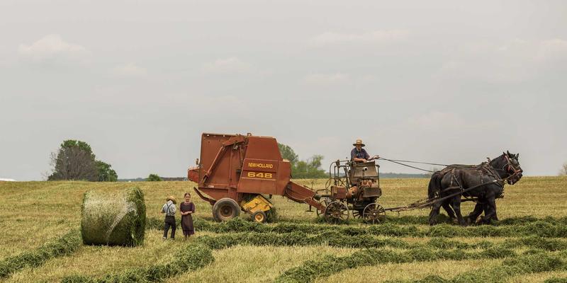 日式禅意与在线购物的融合：基于PWZB YJM的API生态设计，打造如盆栽艺术般精巧可扩展的电子商务接口服务