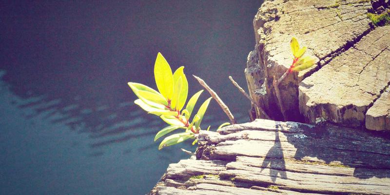 电子商务新引擎：PWZB YJM微服务治理如何驱动绿色供应链服务解耦