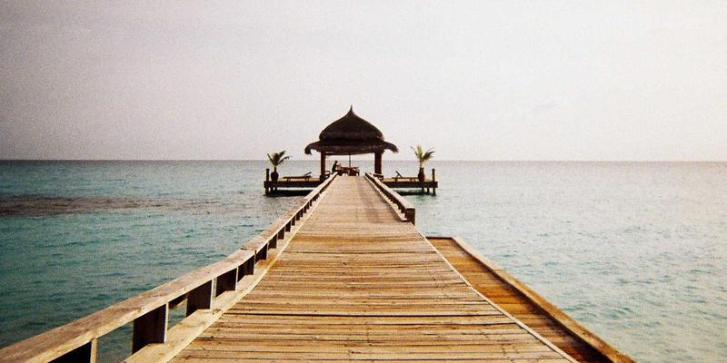 融合日式禅意与数字科技：PWZB YJM贸易平台如何重塑绿色商品供应链全链路可追溯性