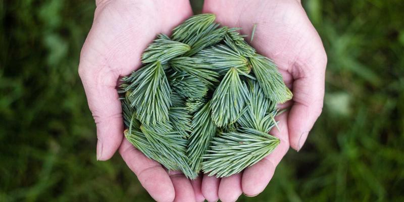 融合日式禅意体验的在线购物平台：PWZB YJM在混合云中的部署与网络实践