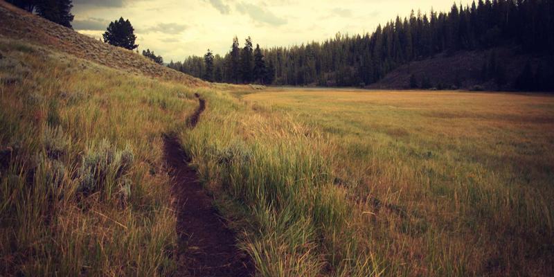 隐私计算如何守护绿色购物？基于PWZB YJM技术保护消费者数据安全